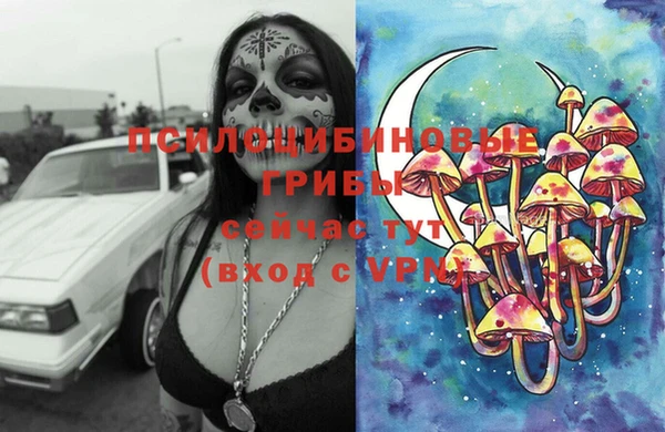 мдпв Волоколамск