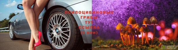 прущие грибы Верея