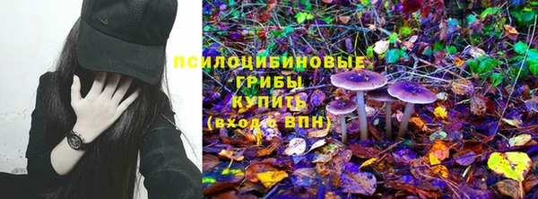 прущие крисы Горнозаводск