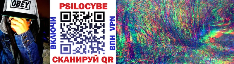 цена наркотик  Дорогобуж  Галлюциногенные грибы ЛСД 